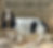Photoroom_20250310_151231