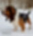 Photoroom_20260127_161946