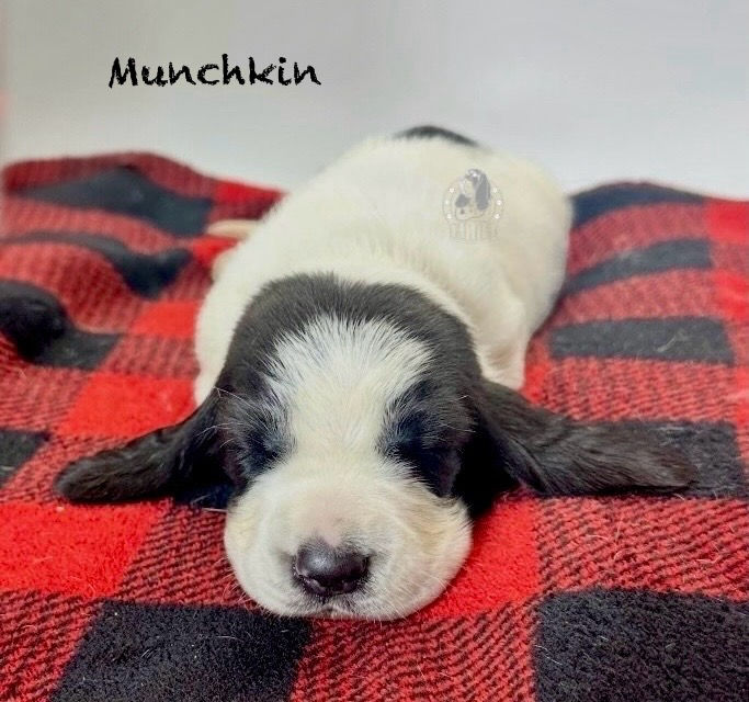 Photoroom_002_20251121_100146