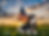 88C3BD17-BD38-4860-A33B-784D0403105C