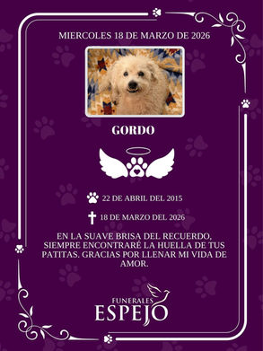 GORDO