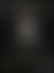 Sr. Teódulo Pérez Santes