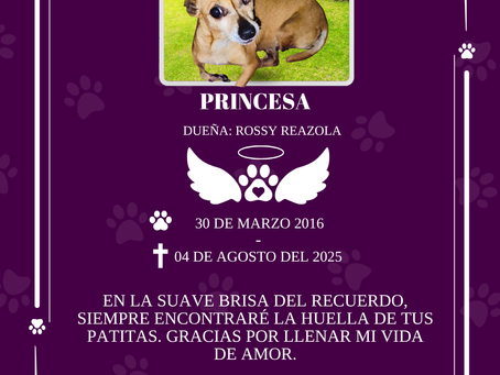 Princesa