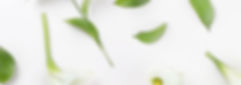 White Lilies