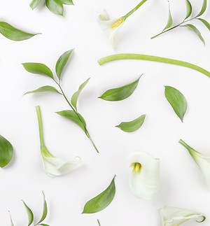 White Lilies