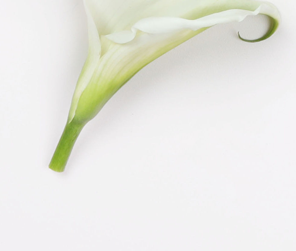 White Lilies