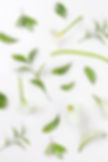 White Lilies