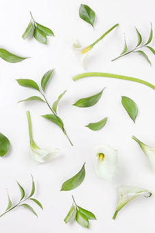 White Lilies