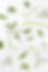 White Lilies