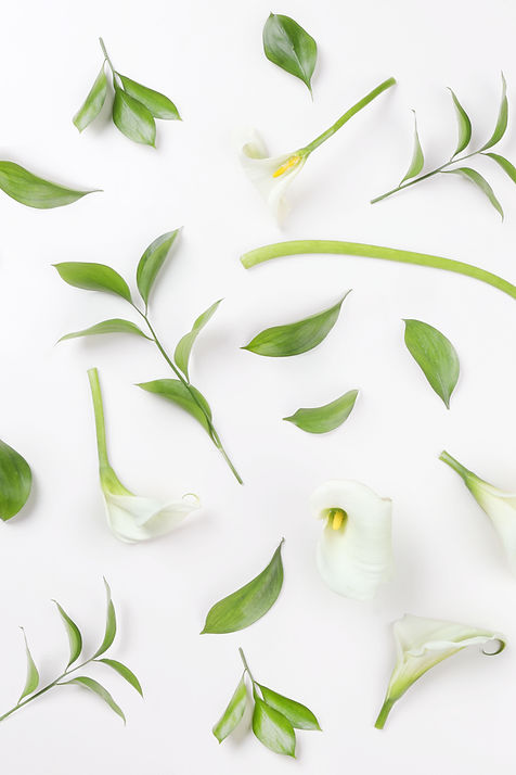 White Lilies