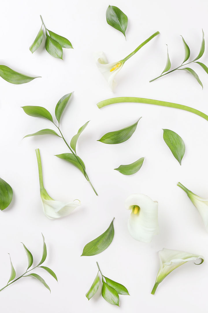 White Lilies
