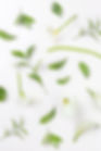 White Lilies