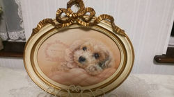 「フィル 何を見てるの?」