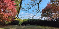 IMG_20221115_113057.jpg