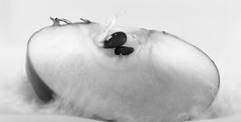 3213_0203_bw_1080pix.jpg