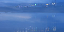 アンデ IMG_0161_01☆riparian(南東).JPG