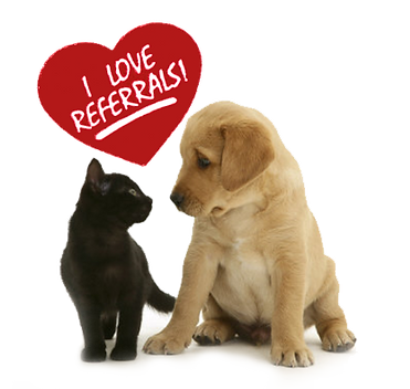 Central Ohio Professional Dog Walker and Pet Sitter referrals