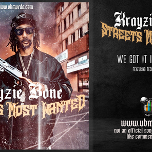 Krayzie Bone - We Got It in Tha Trunk Ft. Tech N9ne | Rittz