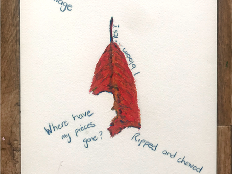 Daily Self Regulation ART