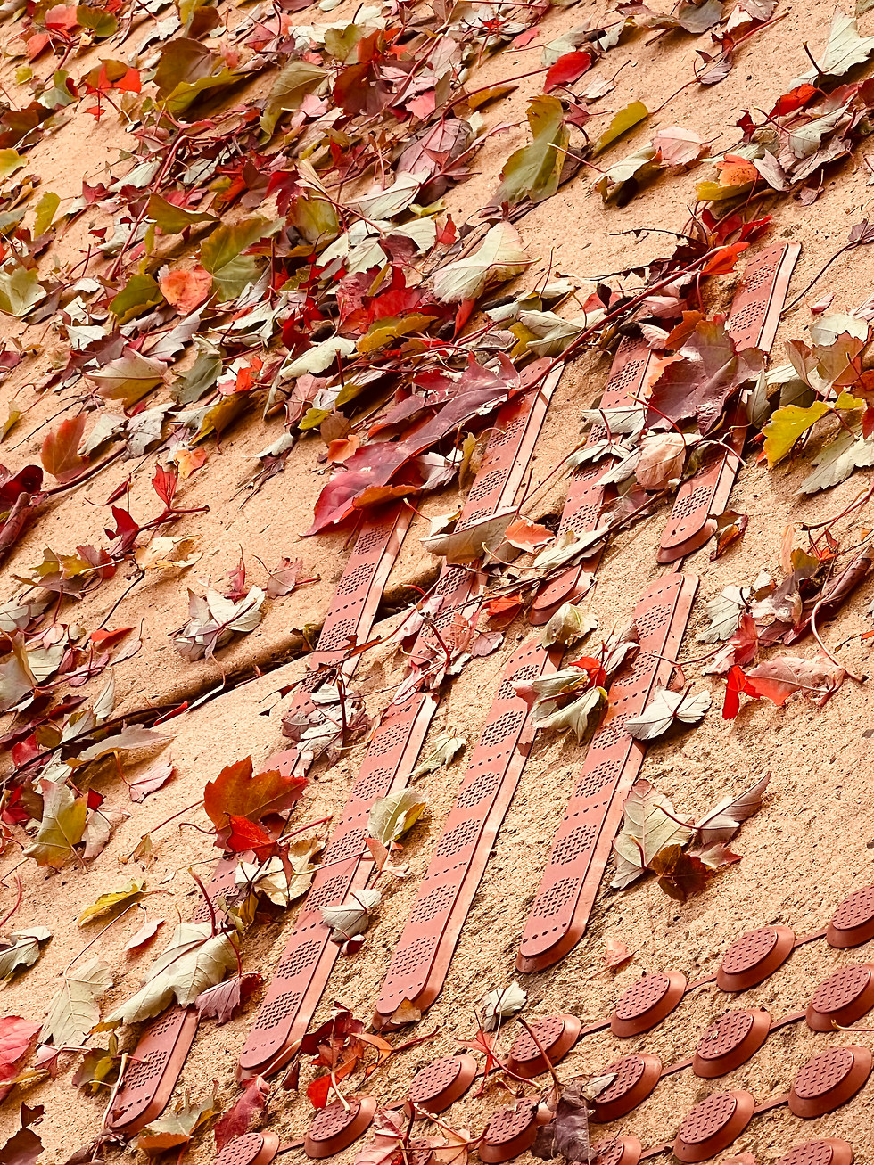 as all that was scattered settles