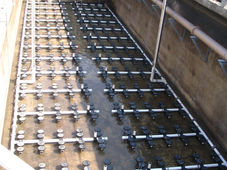 2013-05-20 Atty STP Photos-12.jpg