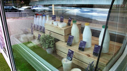 Dabīgi piena produkti