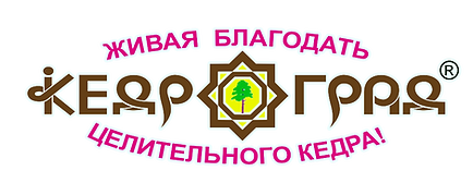 кедр
