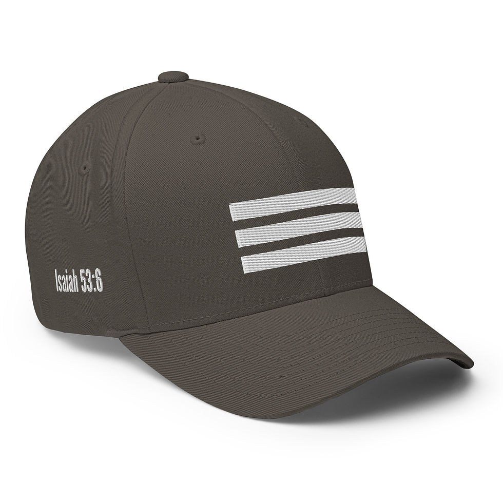 Thumbnail: By Your Stripes (Isaiah 53:6) - Structured Twill Hat