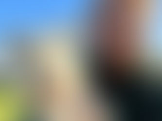 The Benefits of Positive Dog Training Techniques