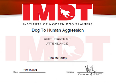 IMDT Dog To Human Aggression Certificate of Attendance, Dan McCarthy, 09/11/2024