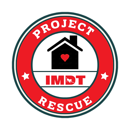 Project IMDT Rescue logo