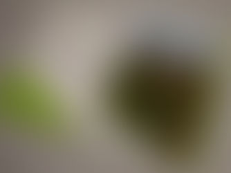 Luftaufnahmen als Schlüssel zum Erfolg