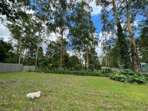 Luxury Home Building: The Essence of "The Land"