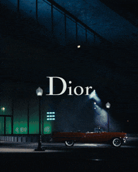 LucasChemotti_DiorCruise27 (2).gif