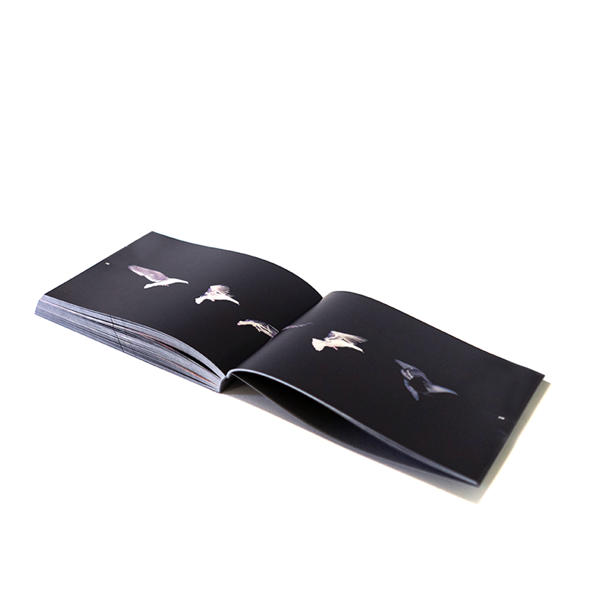 Thumbnail: PERFORMER