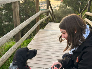 23. O que acontece depois de concluir o Curso de Pet Sitter