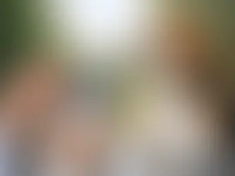 Microchip para cães obrigatório em Portugal?
