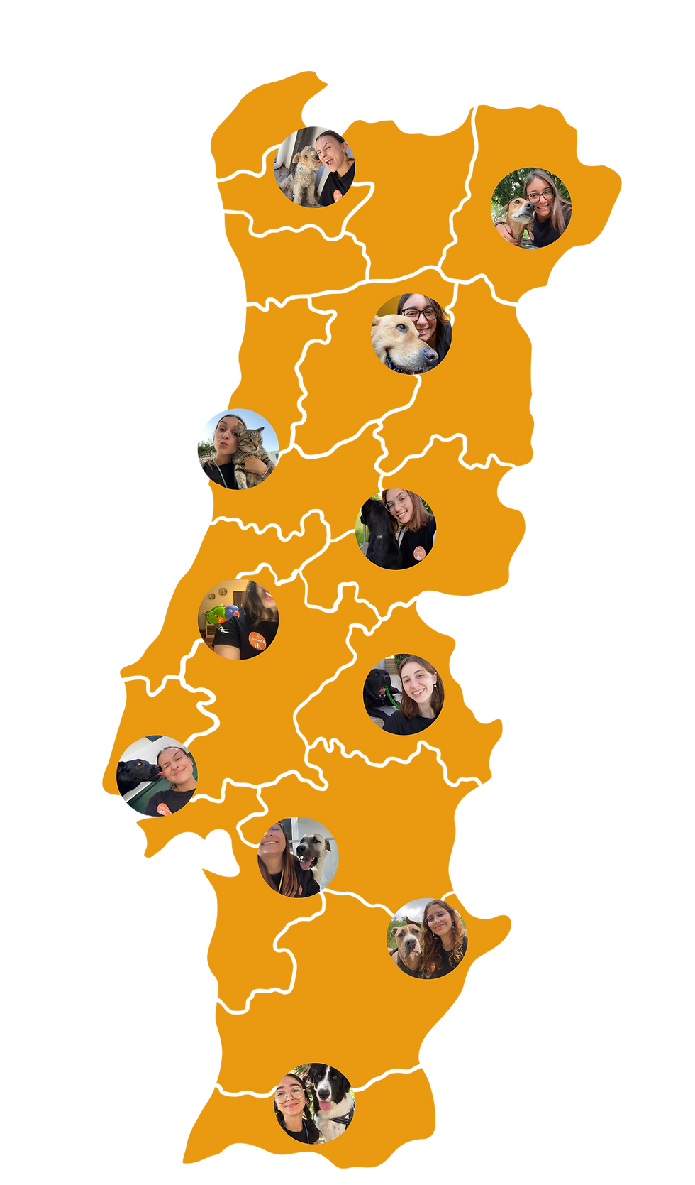 Design sem nome (64).png