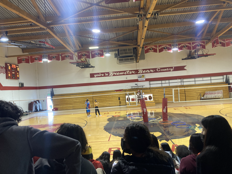 Homecoming Week Day 3 