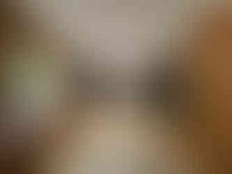 Renovated living space with hardwood floors, built-in shelving, and natural light, Charlotte NC