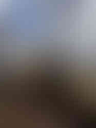 Rear exterior of brick home with chimney and yard, Charlotte NC renovation project.