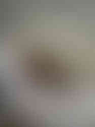 Updated living room with modern furniture and open layout, whole-home remodel in South Charlotte