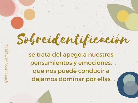 Sobreidentificación