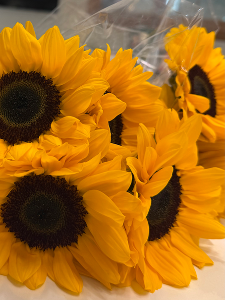 Flowers in December