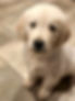 received_699243335222719.jpeg