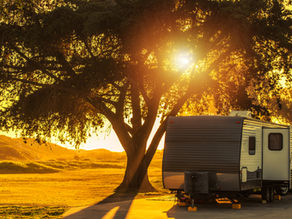 Living free (and tax free)