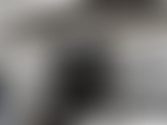 Rolls Royce registered in Montana