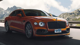 Making the Top Cars of 2023 Better with Montana Plates