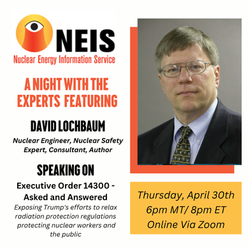 Nuclear Guardianship: NEIS