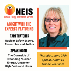 A Night With The Experts: Tami Thatcher on Nuclear Safety and the Downsides of Expanding Nuclear Energy